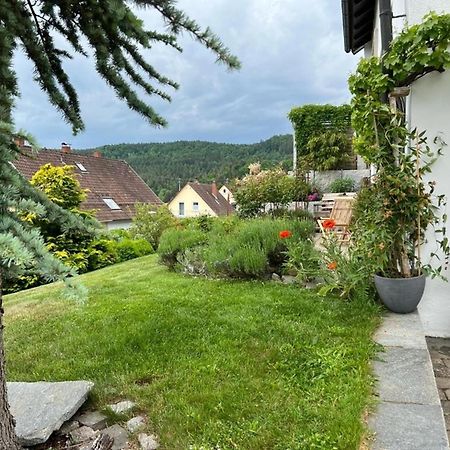 Ferienwohnung Jardin De Lavande Fridingen an der Donau المظهر الخارجي الصورة