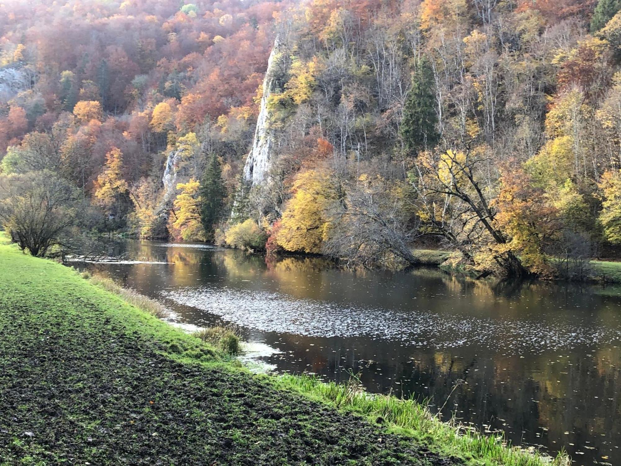 Ferienwohnung Jardin De Lavande Fridingen an der Donau المظهر الخارجي الصورة