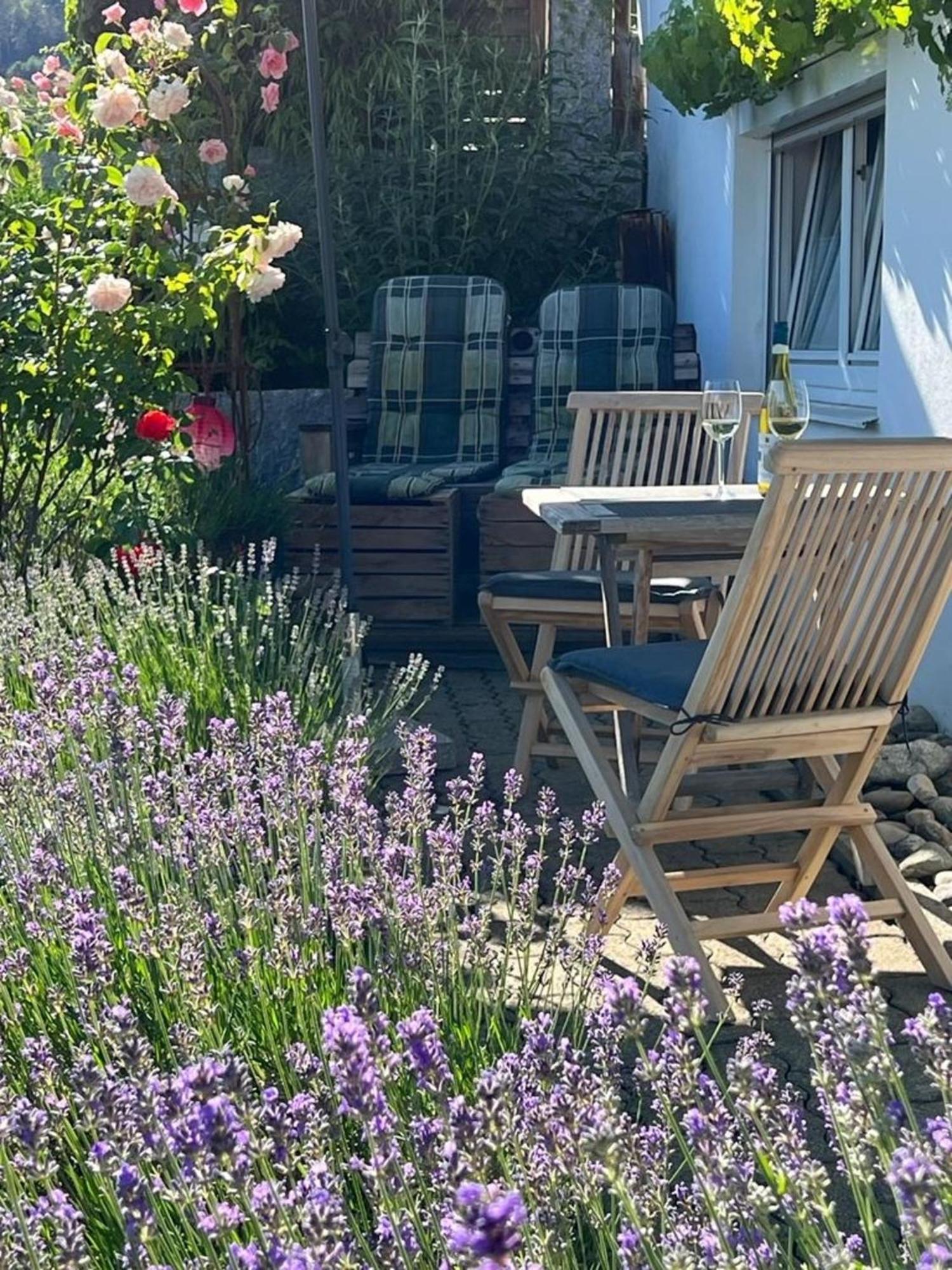 Ferienwohnung Jardin De Lavande Fridingen an der Donau المظهر الخارجي الصورة